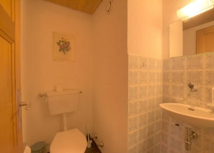 Orion 203 Au Centre A Avec Vue Sur Les Alpes